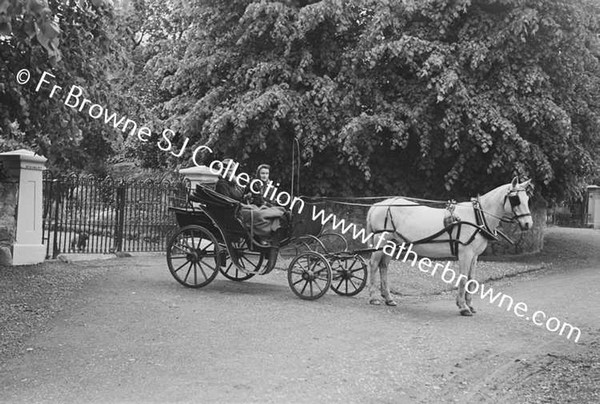 MRS FRANK LILLIS WITH MARY IN PHAETON